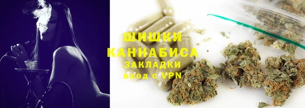 стафф Корсаков