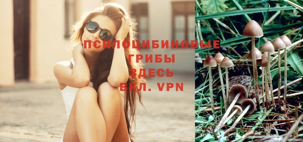 кокаин колумбия Краснослободск