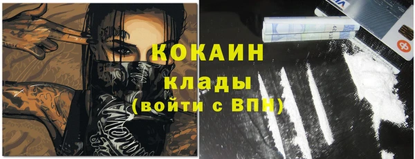 гидра Костерёво