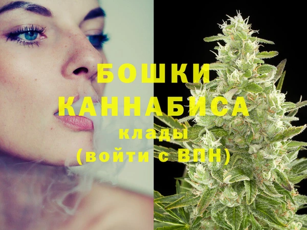 гидра Костерёво