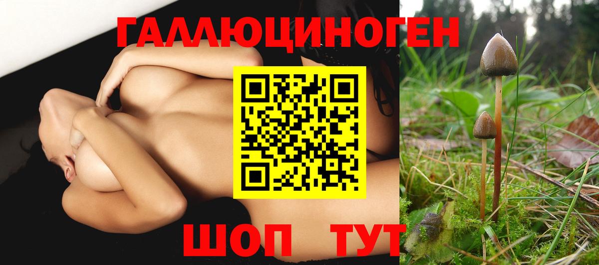 наркошоп  Вход с VPN  Курганинск  Псилоцибиновые грибы Magic Shrooms 