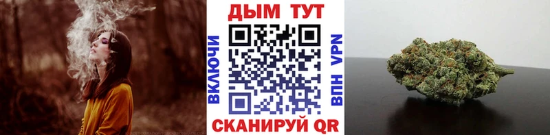 цены наркотик  Курганинск  Канабис ГИДРОПОН 